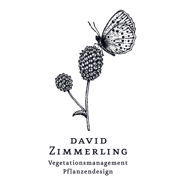 David Zimmerling - Vegetationsmanagement - Pflanzendesign